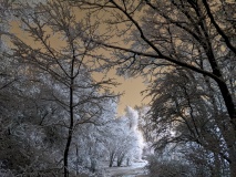 PXL_20211208_213002825.NIGHT_