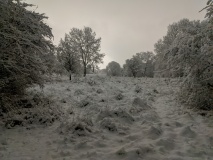 PXL_20211208_213334528.NIGHT_