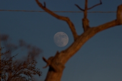 17-12-29_Matera_Bari_122