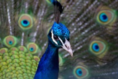 2021-05-14-19-09-23-Frankfurt-Offenbach-Taunus