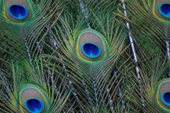 2021-05-14-19-09-52-Frankfurt-Offenbach-Taunus